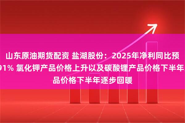 山东原油期货配资 盐湖股份：2025年净利同比预增78%-91% 氯化钾产品价格上升以及碳酸锂产品价格下半年逐步回暖