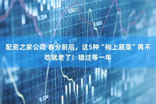 配资之家公司 春分前后，这5种“树上蔬菜”再不吃就老了！错过等一年