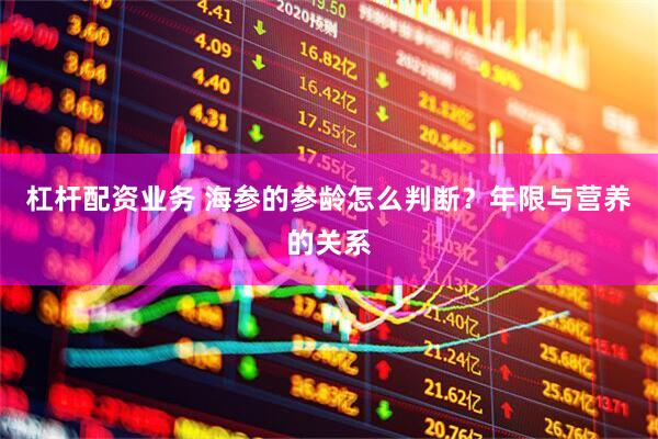 杠杆配资业务 海参的参龄怎么判断？年限与营养的关系